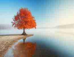 javascript自‌动​化‌脚‌本‍